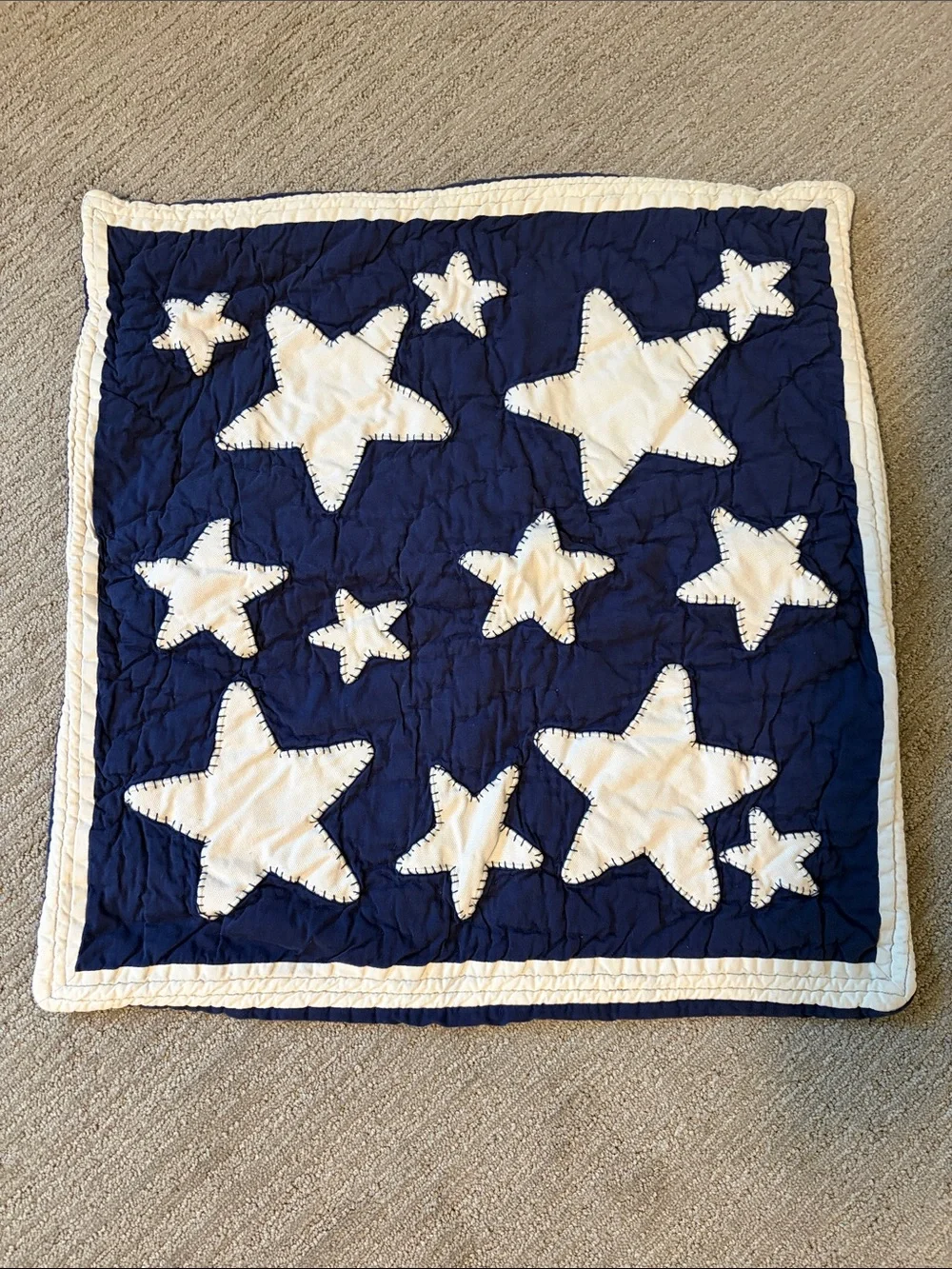 Pottery Barn Kids Euro Sham